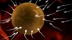 biker men naked photos natural ways to incrase sperm production
